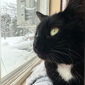 Meet your Posher, Alana